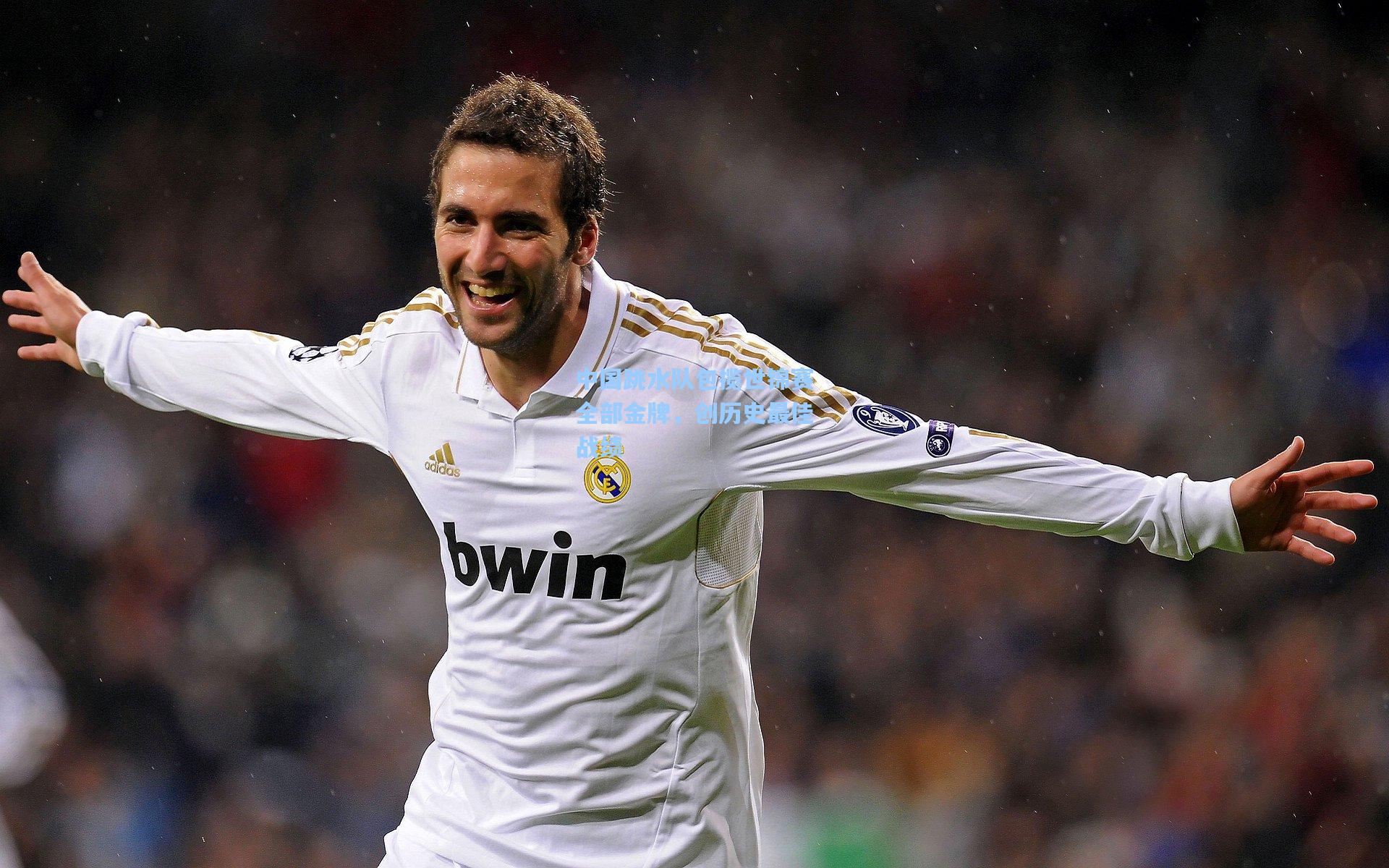 中国跳水队包揽世锦赛全部金牌，创历史最佳战绩