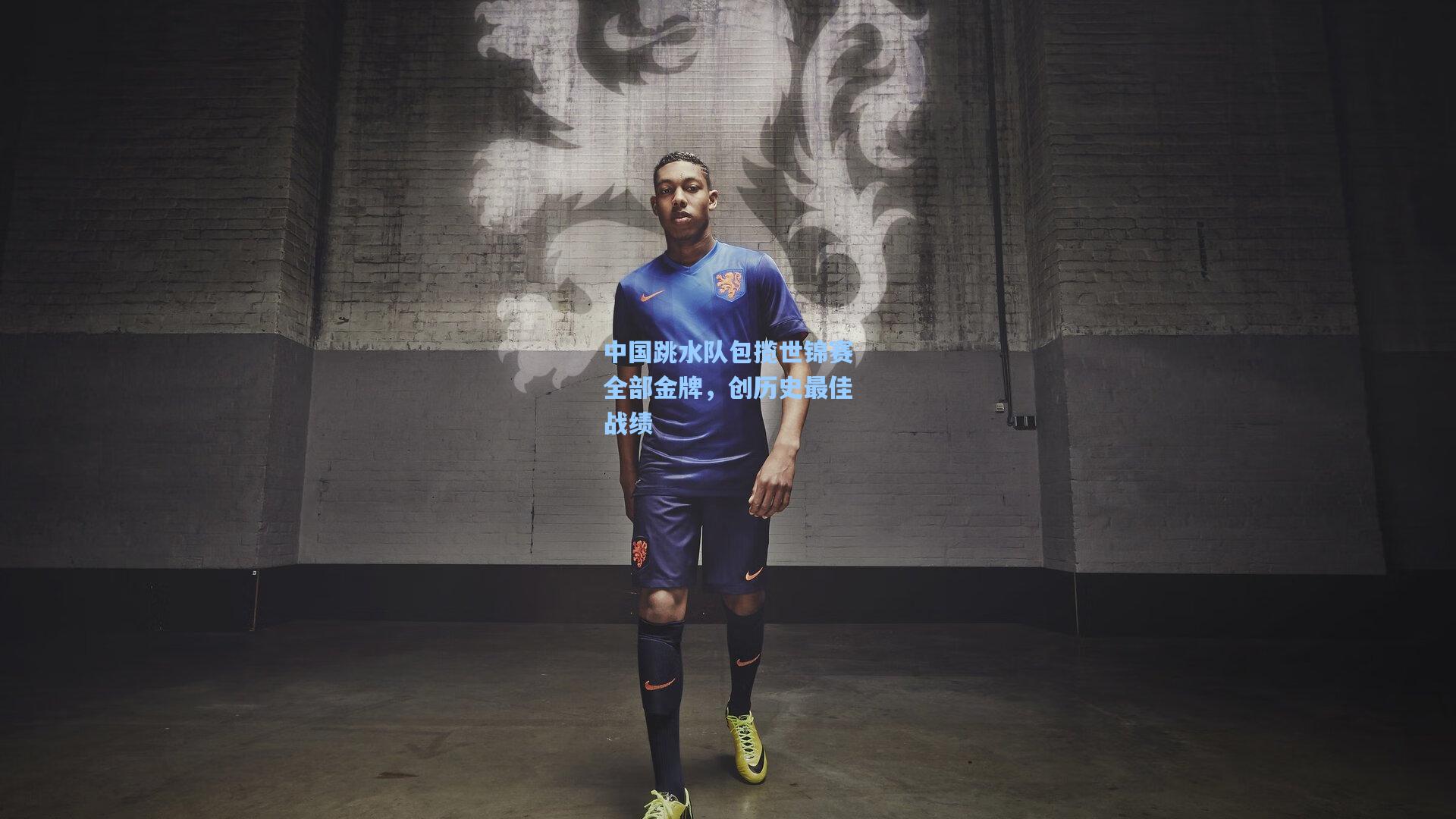 中国跳水队包揽世锦赛全部金牌，创历史最佳战绩