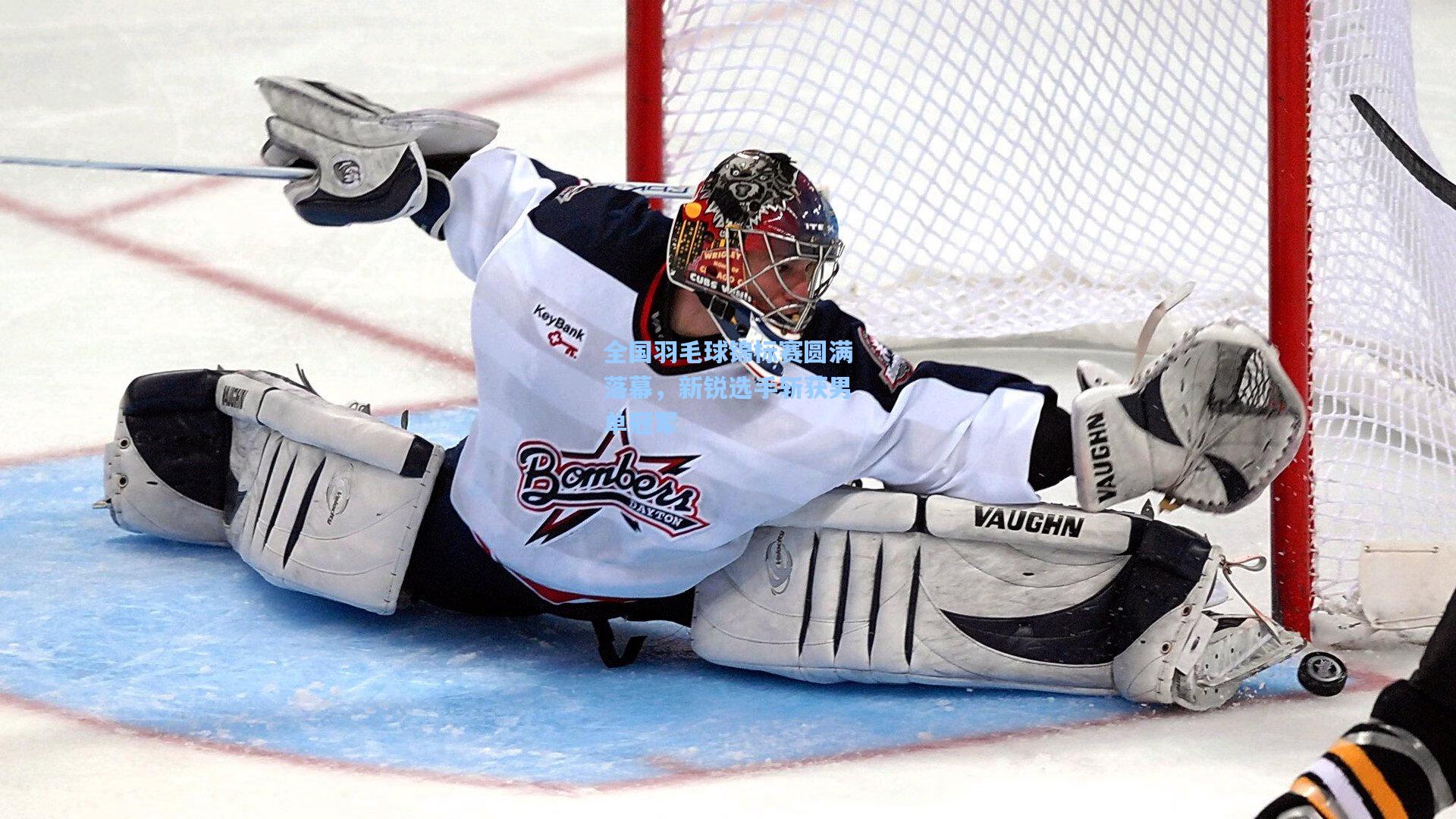 全国羽毛球锦标赛圆满落幕，新锐选手斩获男单冠军